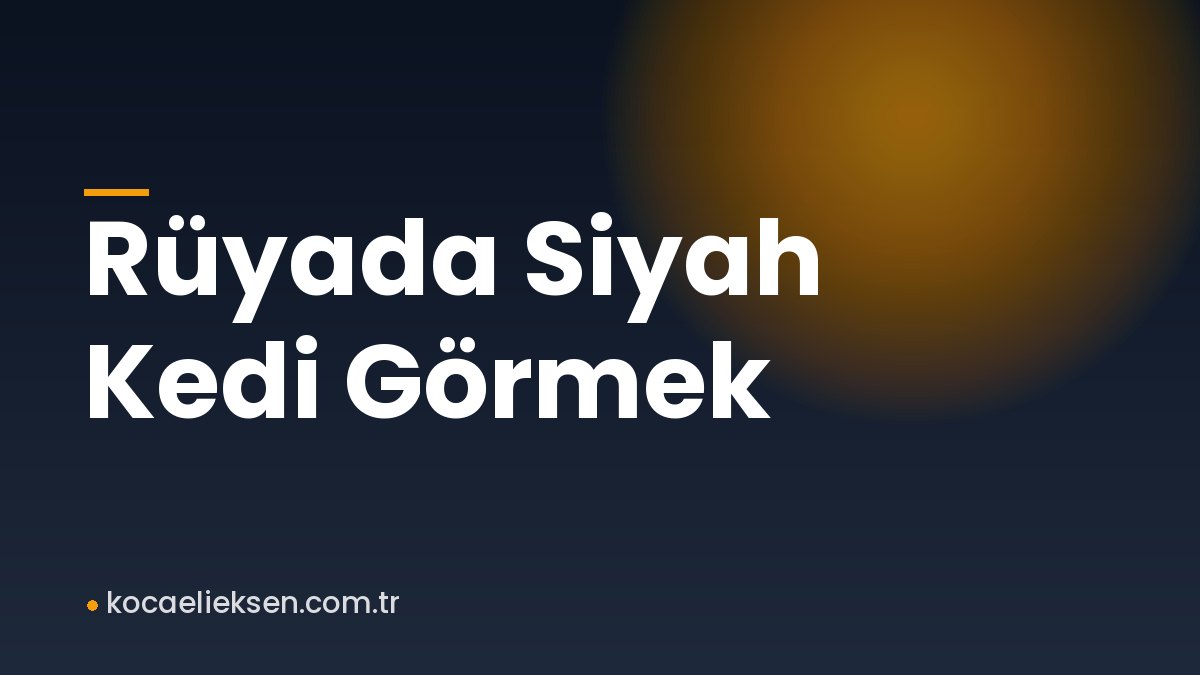 Rüyada Siyah Kedi Görmek